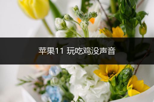 苹果11 玩吃鸡没声音