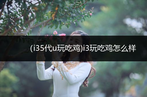 （i35代u玩吃鸡)i3玩吃鸡怎么样