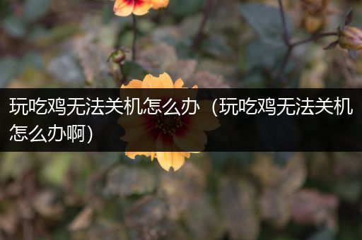 玩吃鸡无法关机怎么办（玩吃鸡无法关机怎么办啊）
