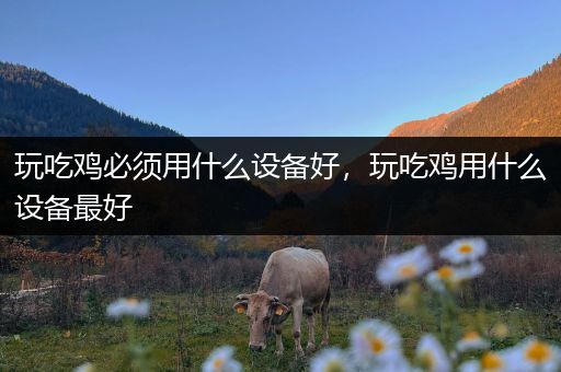 玩吃鸡必须用什么设备好，玩吃鸡用什么设备最好