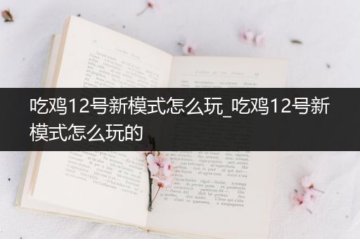 吃鸡12号新模式怎么玩_吃鸡12号新模式怎么玩的