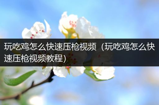 玩吃鸡怎么快速压枪视频（玩吃鸡怎么快速压枪视频教程）