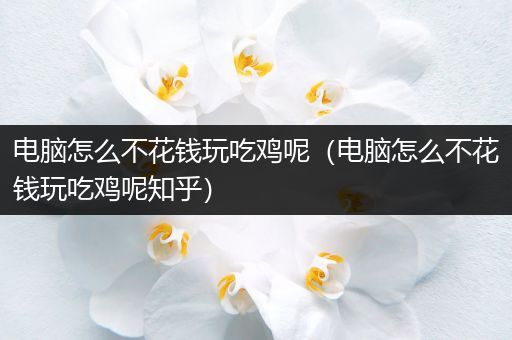 电脑怎么不花钱玩吃鸡呢（电脑怎么不花钱玩吃鸡呢知乎）