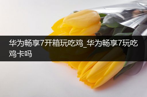 华为畅享7开箱玩吃鸡_华为畅享7玩吃鸡卡吗