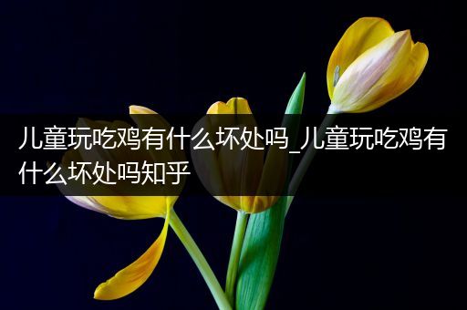 儿童玩吃鸡有什么坏处吗_儿童玩吃鸡有什么坏处吗知乎