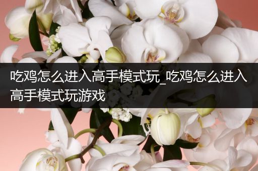 吃鸡怎么进入高手模式玩_吃鸡怎么进入高手模式玩游戏