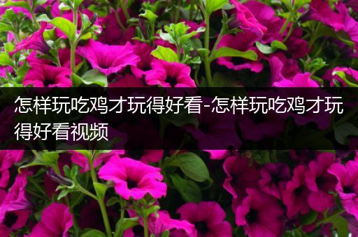 怎样玩吃鸡才玩得好看-怎样玩吃鸡才玩得好看视频