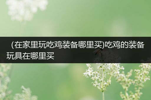 （在家里玩吃鸡装备哪里买)吃鸡的装备玩具在哪里买