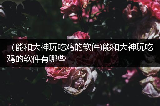 （能和大神玩吃鸡的软件)能和大神玩吃鸡的软件有哪些