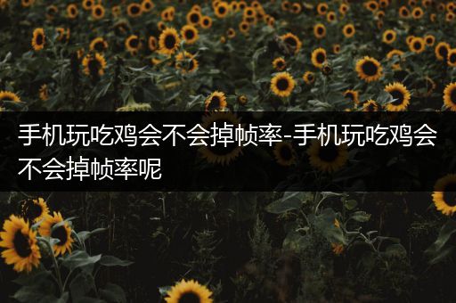 手机玩吃鸡会不会掉帧率-手机玩吃鸡会不会掉帧率呢