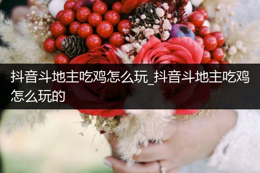 抖音斗地主吃鸡怎么玩_抖音斗地主吃鸡怎么玩的