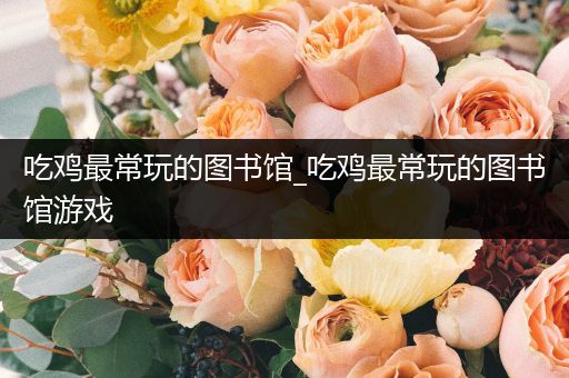 吃鸡最常玩的图书馆_吃鸡最常玩的图书馆游戏