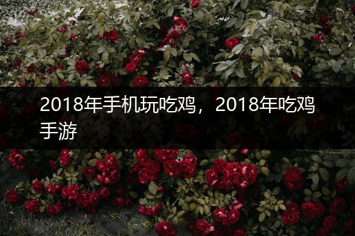2018年手机玩吃鸡，2018年吃鸡手游