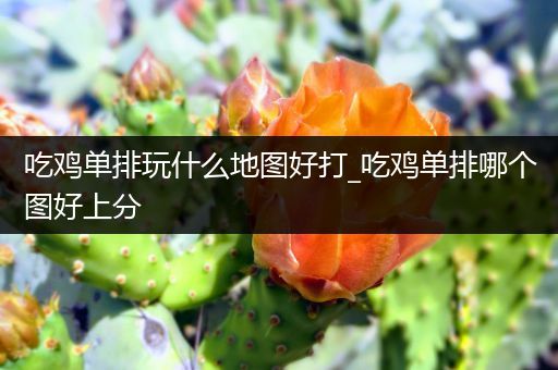 吃鸡单排玩什么地图好打_吃鸡单排哪个图好上分