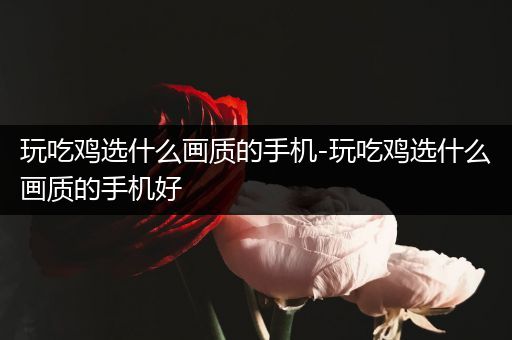 玩吃鸡选什么画质的手机-玩吃鸡选什么画质的手机好