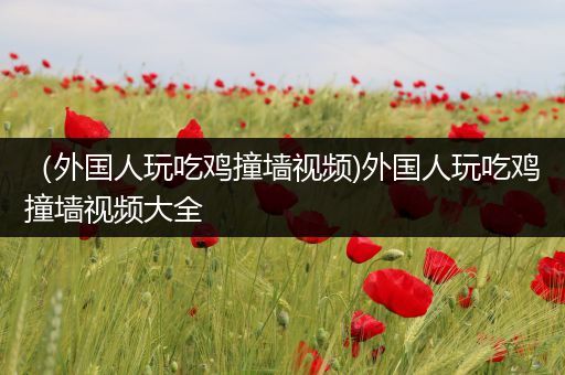 （外国人玩吃鸡撞墙视频)外国人玩吃鸡撞墙视频大全