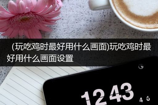 （玩吃鸡时最好用什么画面)玩吃鸡时最好用什么画面设置