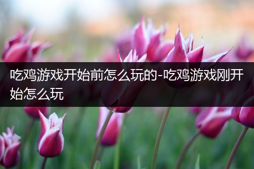 吃鸡游戏开始前怎么玩的-吃鸡游戏刚开始怎么玩