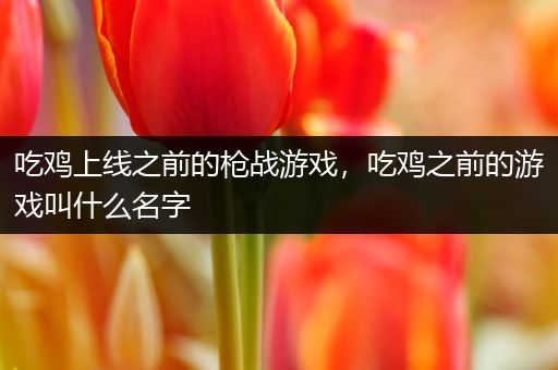 吃鸡上线之前的枪战游戏，吃鸡之前的游戏叫什么名字