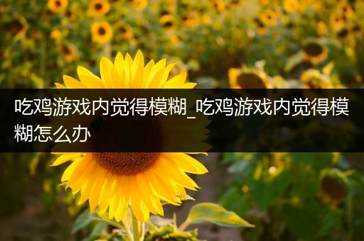 吃鸡游戏内觉得模糊_吃鸡游戏内觉得模糊怎么办