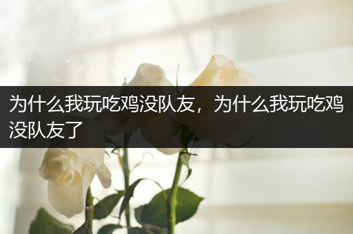 为什么我玩吃鸡没队友，为什么我玩吃鸡没队友了