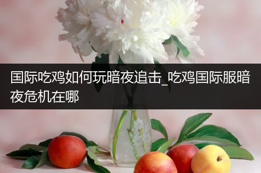 国际吃鸡如何玩暗夜追击_吃鸡国际服暗夜危机在哪