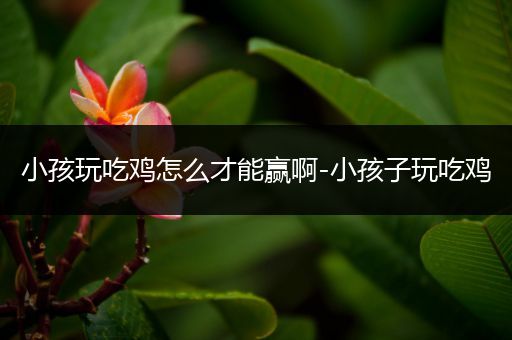 小孩玩吃鸡怎么才能赢啊-小孩子玩吃鸡