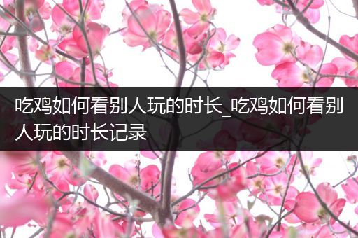 吃鸡如何看别人玩的时长_吃鸡如何看别人玩的时长记录