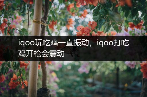 iqoo玩吃鸡一直振动，iqoo打吃鸡开枪会震动