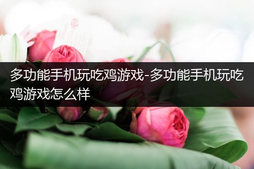 多功能手机玩吃鸡游戏-多功能手机玩吃鸡游戏怎么样
