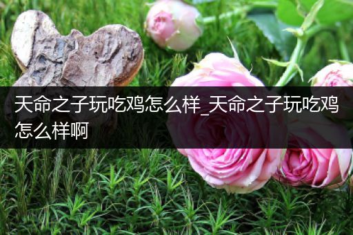 天命之子玩吃鸡怎么样_天命之子玩吃鸡怎么样啊