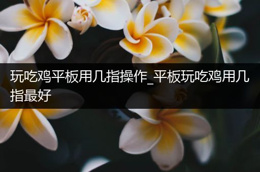 玩吃鸡平板用几指操作_平板玩吃鸡用几指最好
