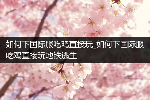 如何下国际服吃鸡直接玩_如何下国际服吃鸡直接玩地铁逃生