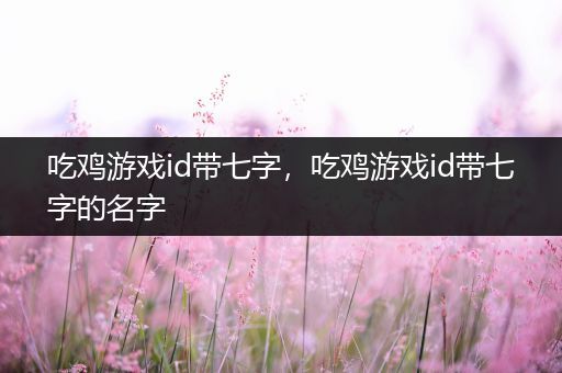 吃鸡游戏id带七字，吃鸡游戏id带七字的名字