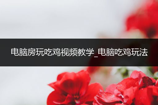 电脑房玩吃鸡视频教学_电脑吃鸡玩法