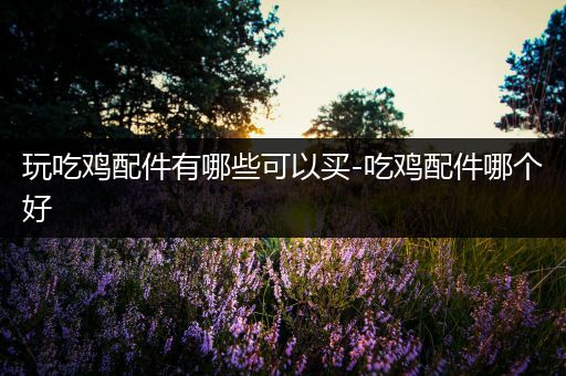 玩吃鸡配件有哪些可以买-吃鸡配件哪个好