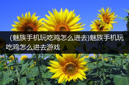 （魅族手机玩吃鸡怎么进去)魅族手机玩吃鸡怎么进去游戏