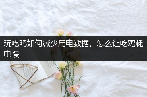 玩吃鸡如何减少用电数据，怎么让吃鸡耗电慢
