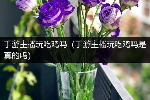 手游主播玩吃鸡吗（手游主播玩吃鸡吗是真的吗）