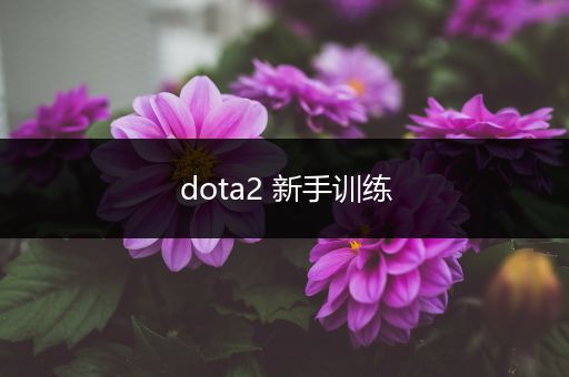 dota2 新手训练