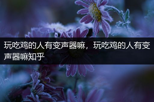 玩吃鸡的人有变声器嘛，玩吃鸡的人有变声器嘛知乎