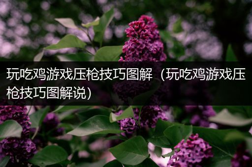 玩吃鸡游戏压枪技巧图解（玩吃鸡游戏压枪技巧图解说）