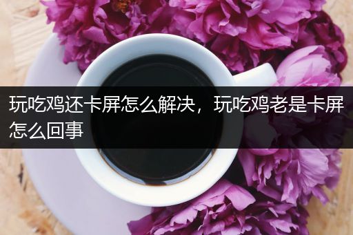 玩吃鸡还卡屏怎么解决，玩吃鸡老是卡屏怎么回事
