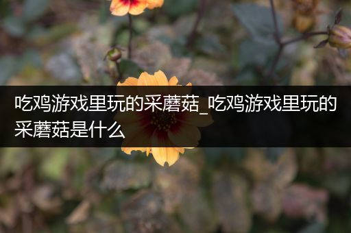 吃鸡游戏里玩的采蘑菇_吃鸡游戏里玩的采蘑菇是什么
