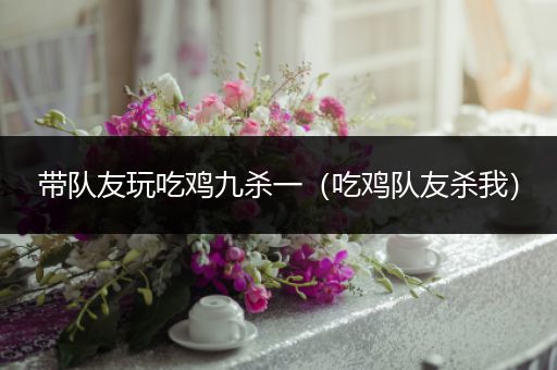 带队友玩吃鸡九杀一（吃鸡队友杀我）