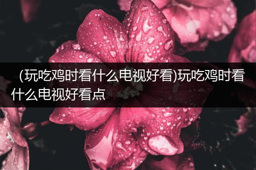 （玩吃鸡时看什么电视好看)玩吃鸡时看什么电视好看点