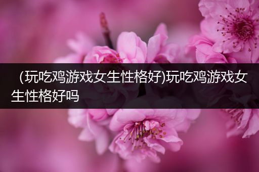 （玩吃鸡游戏女生性格好)玩吃鸡游戏女生性格好吗