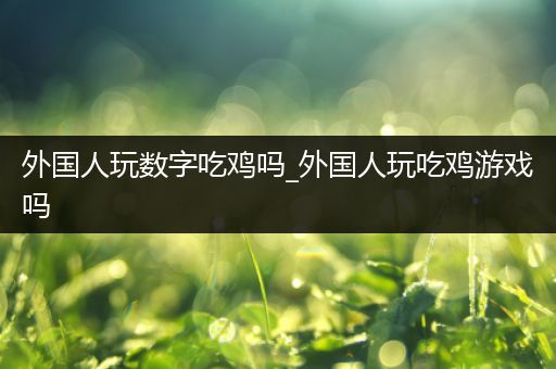 外国人玩数字吃鸡吗_外国人玩吃鸡游戏吗