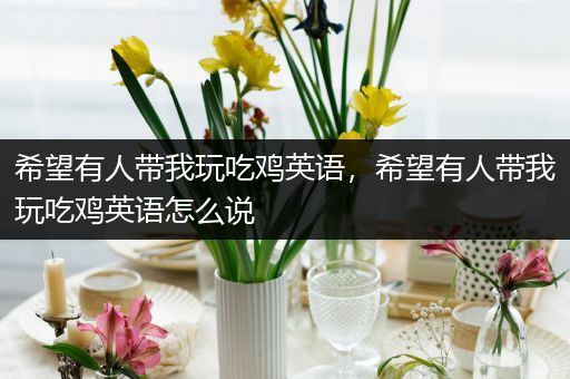 希望有人带我玩吃鸡英语，希望有人带我玩吃鸡英语怎么说