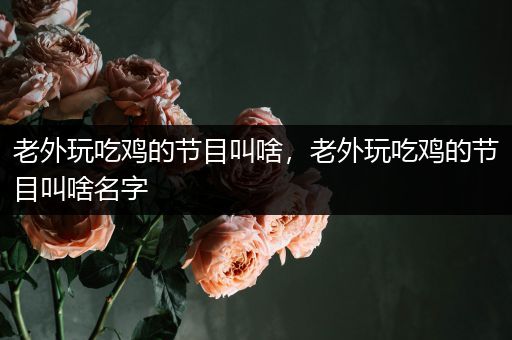 老外玩吃鸡的节目叫啥，老外玩吃鸡的节目叫啥名字